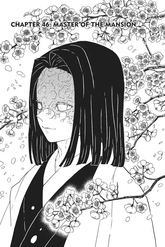 Demon Slayer Chapter 46 image 01_optimized